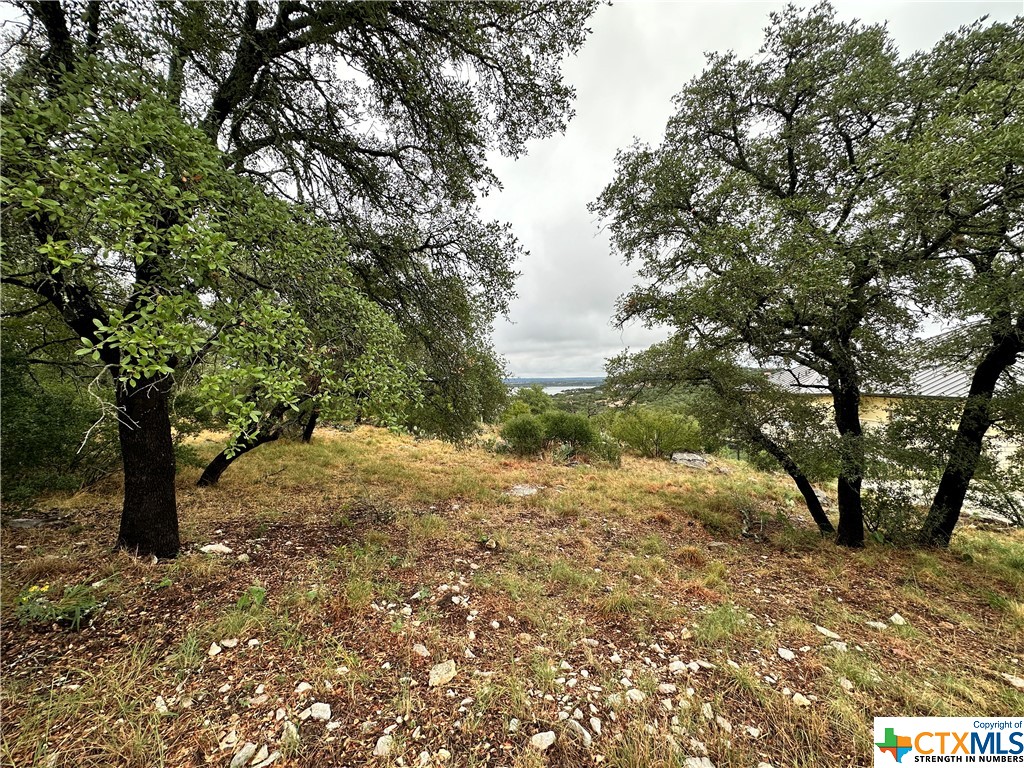 820 Mountain Dew Property Photo