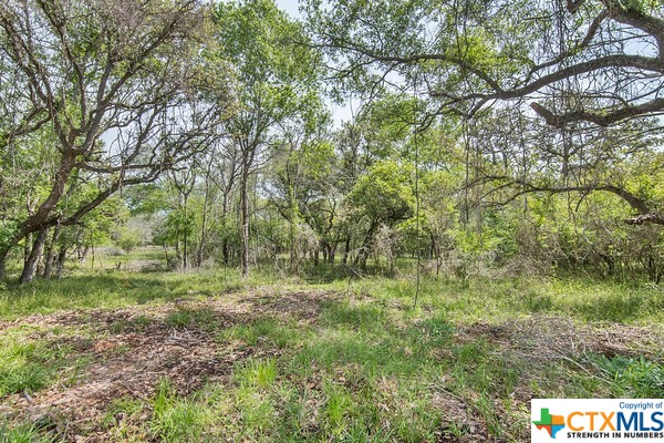 Tract 2 FM 530 Property Photo 1