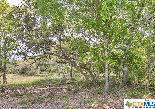 Tract 2 Fm 530 Property Photo 2