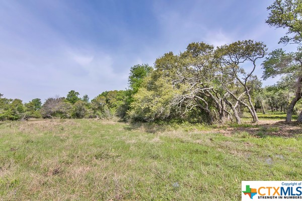 Tract 2 Fm 530 Property Photo 3