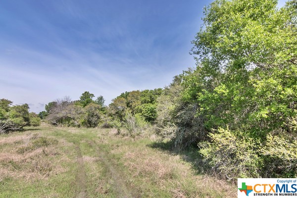 Tract 2 Fm 530 Property Photo 4