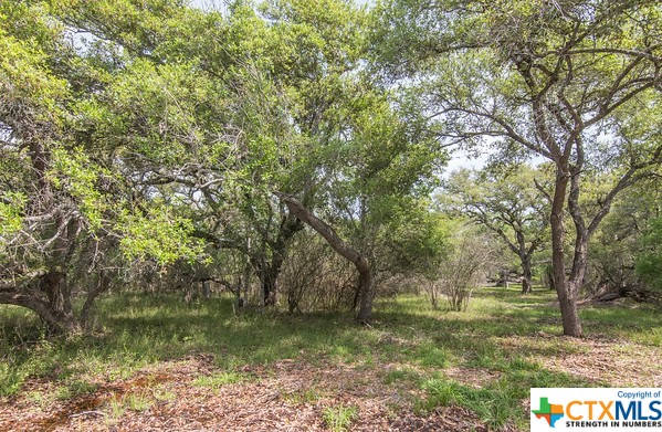 Tract 2 Fm 530 Property Photo 5