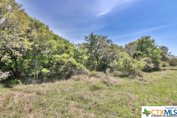 Tract 2 Fm 530 Property Photo 6