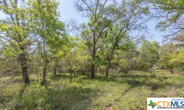 Tract 2 Fm 530 Property Photo 7