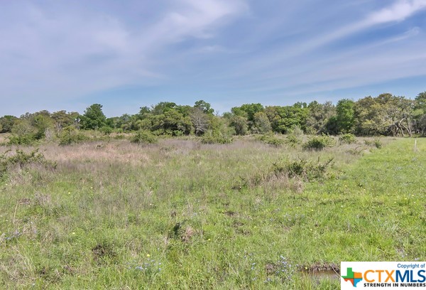 Tract 2 Fm 530 Property Photo 9