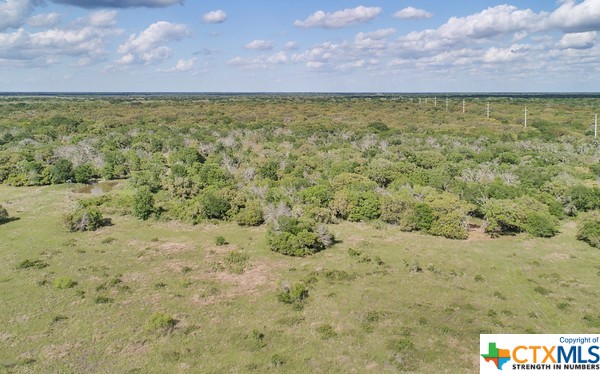 Tract 2 Fm 530 Property Photo 11