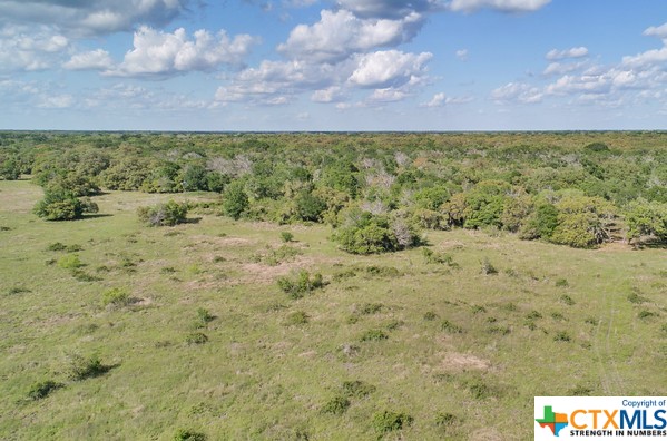 Tract 2 Fm 530 Property Photo 12