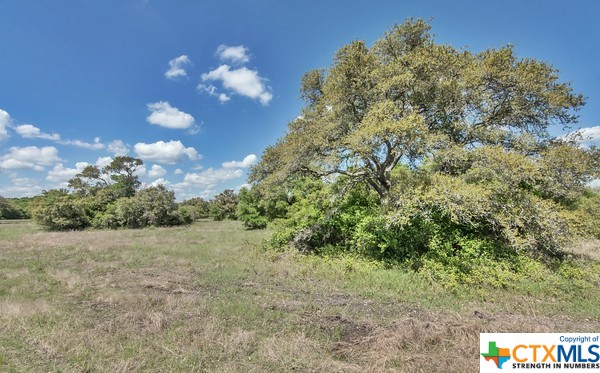 Tract 3 Fm 530 Property Photo 1