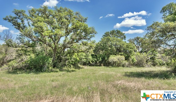 Tract 3 Fm 530 Property Photo 2