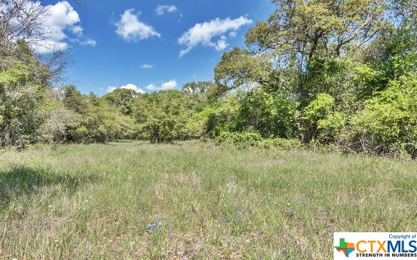 Tract 3 Fm 530 Property Photo 3