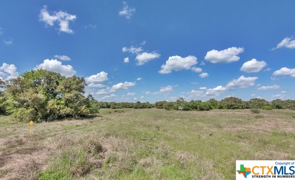 Tract 3 Fm 530 Property Photo 4