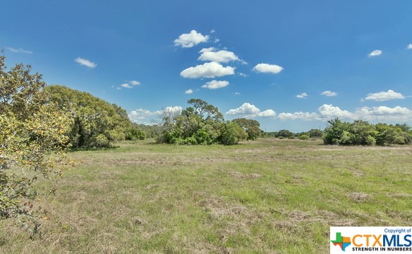Tract 3 Fm 530 Property Photo 5