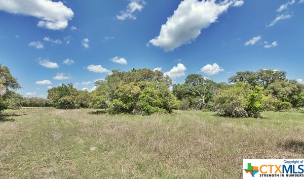 Tract 3 Fm 530 Property Photo 6