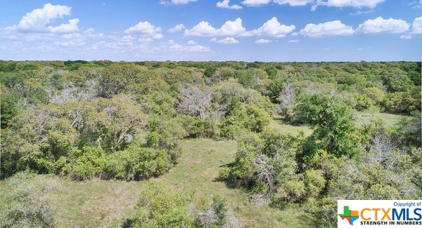 Tract 3 Fm 530 Property Photo 8