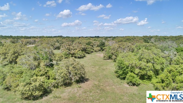 Tract 3 Fm 530 Property Photo 13