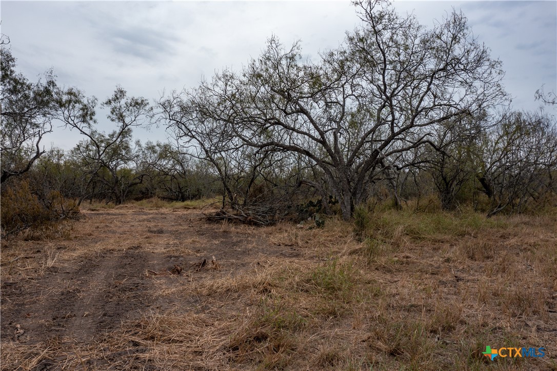 Tbd Mccampbell - Tract F Property Photo 1