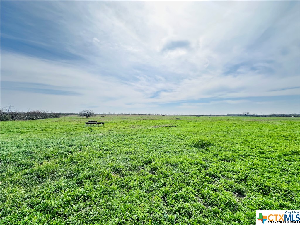 1850 County Rd 153 Property Photo 31