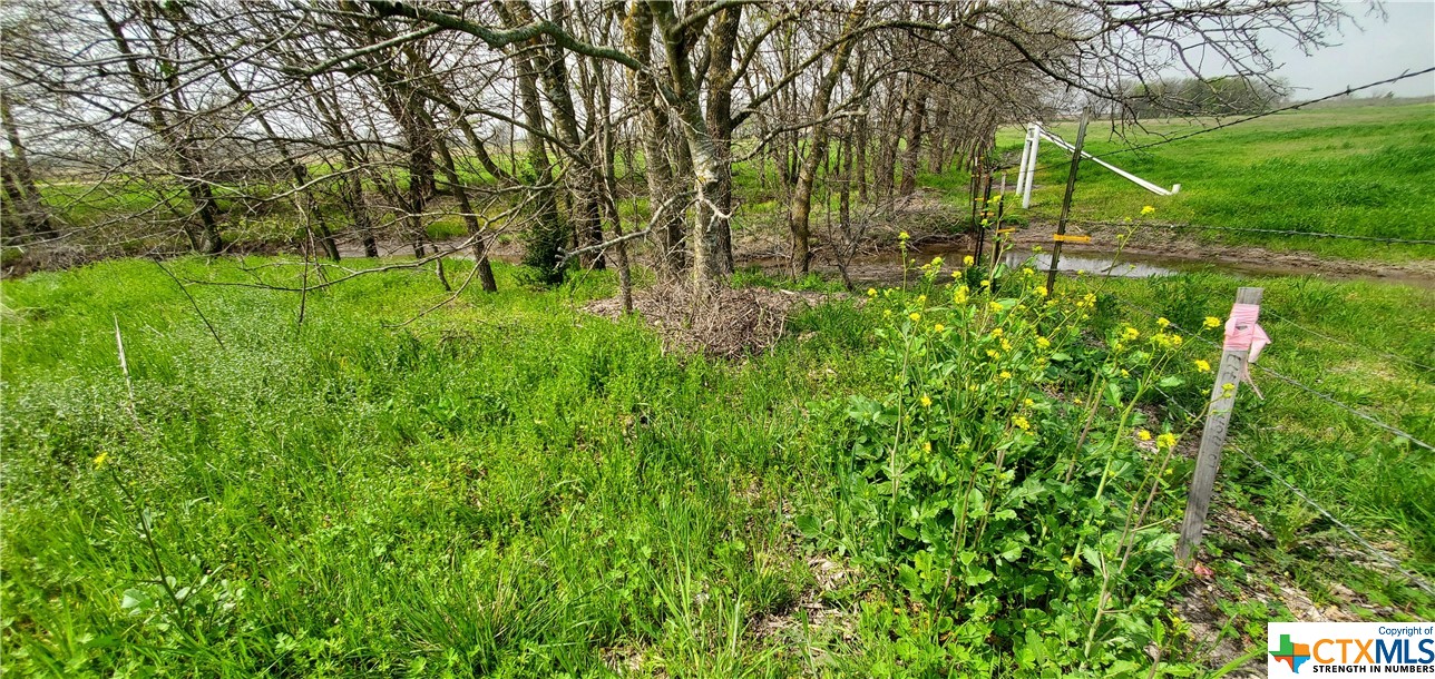 18854 Hwy 53 Property Photo 5