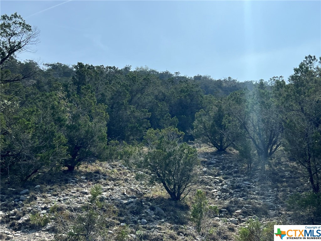 1081 Hillside View Drive Property Photo 17