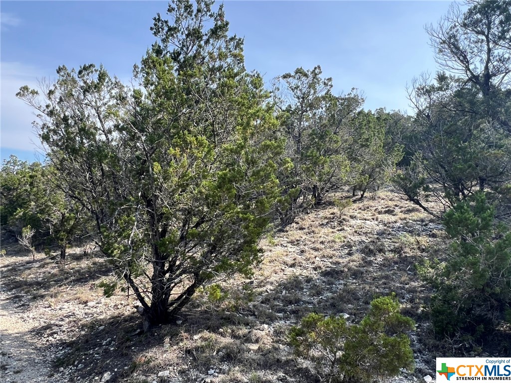 1081 Hillside View Drive Property Photo 19