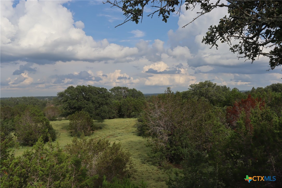1619 Althaus Road Property Photo 3