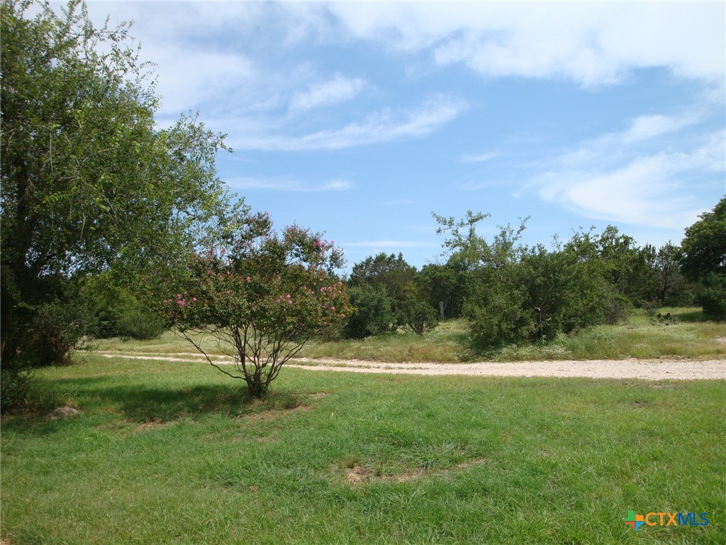1619 Althaus Road Property Photo 5