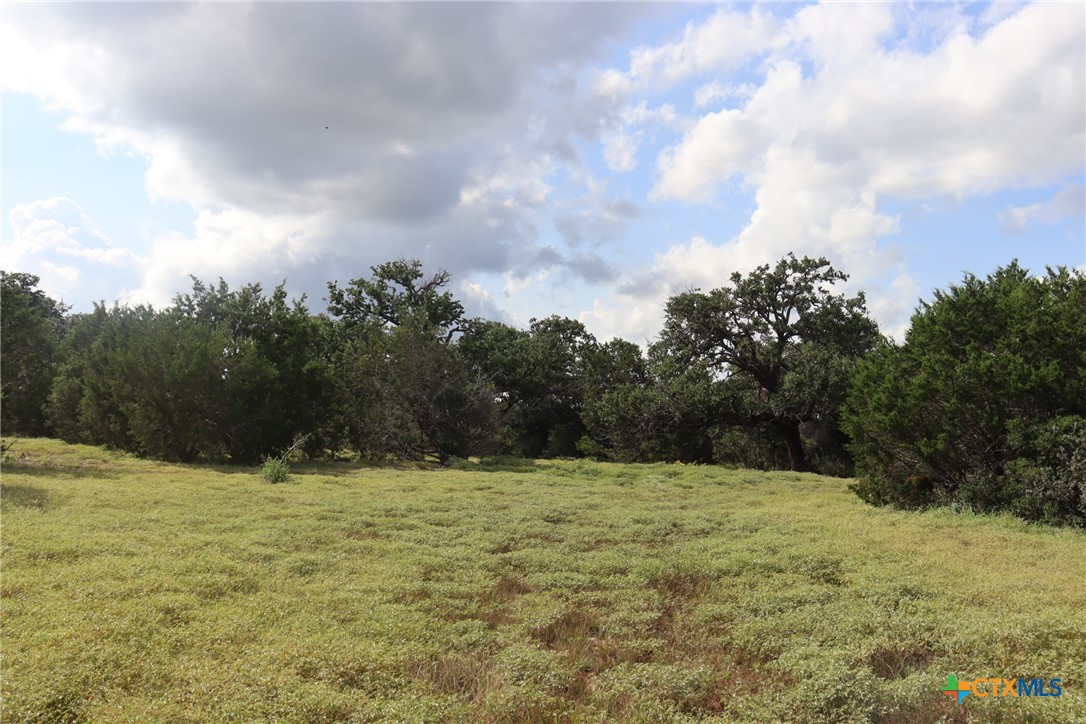1619 Althaus Road Property Photo 6