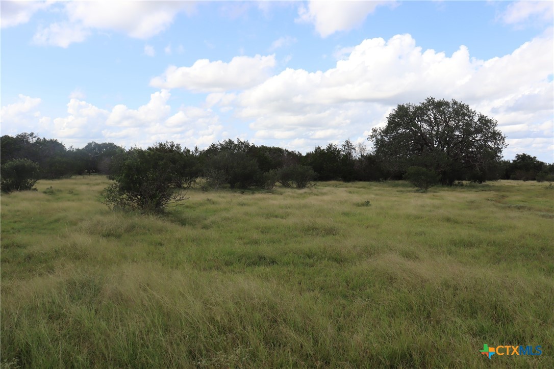 1619 Althaus Road Property Photo 7
