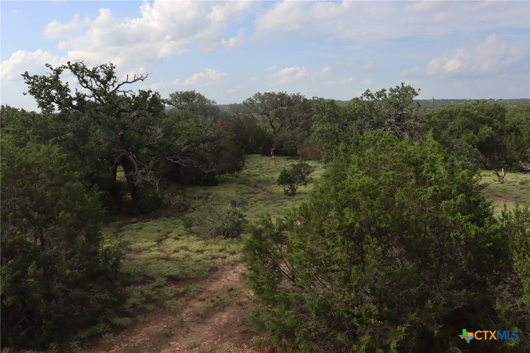 1619 Althaus Road Property Photo 8