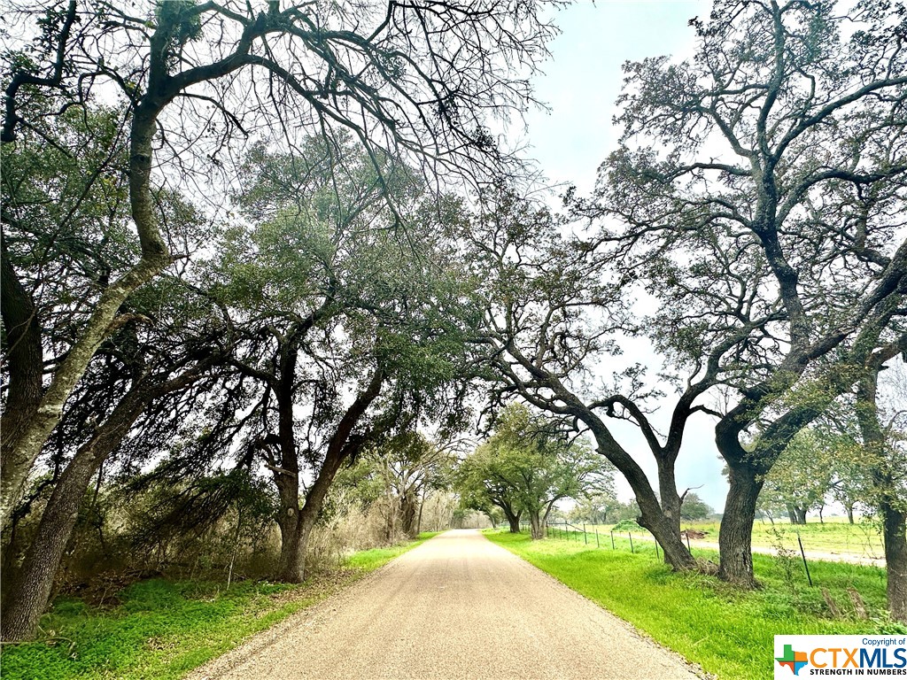 Sunset Ranch Tract 6 & 7 County Road 356 Property Photo 6