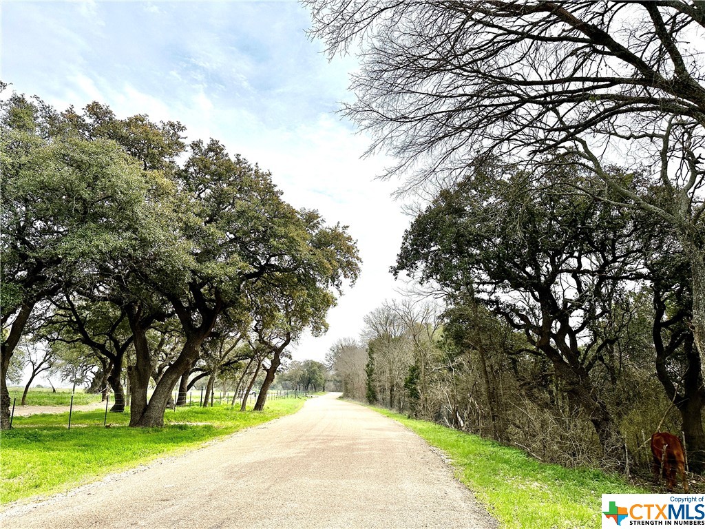 Sunset Ranch Tract 6 & 7 County Road 356 Property Photo 7