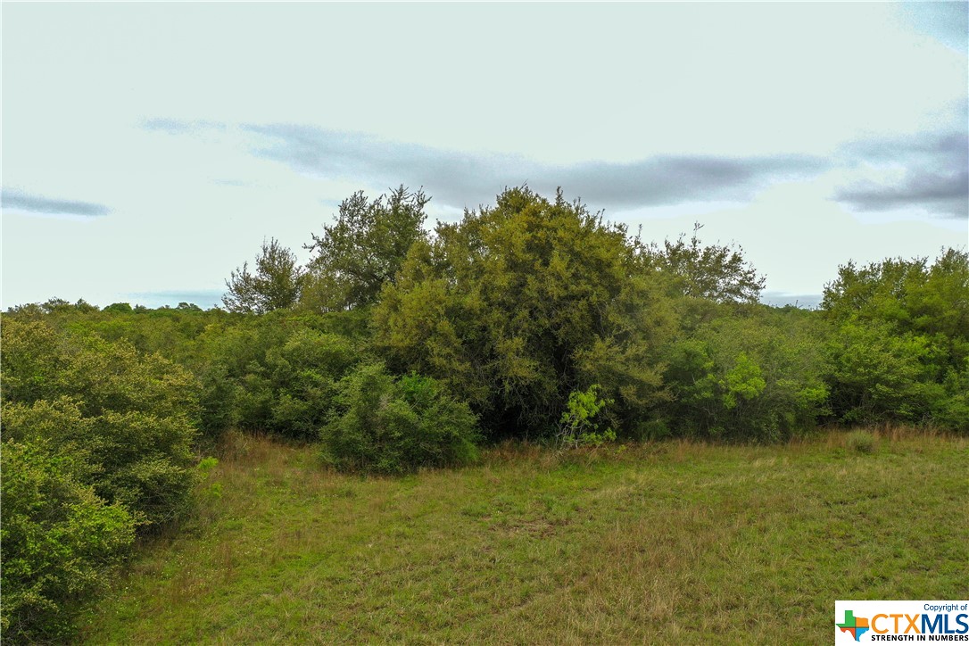 460 Fm 2040 Property Photo 2