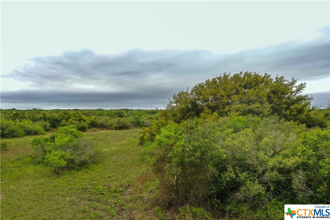 460 Fm 2040 Property Photo 3