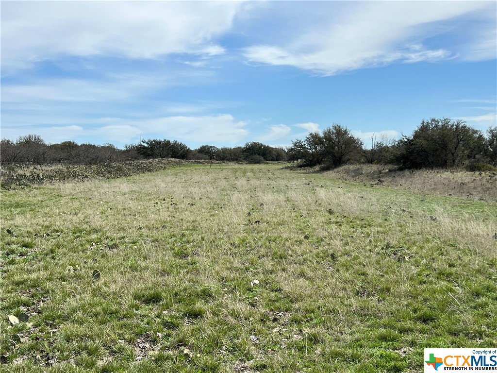 2575 Buck Ridge Dr Property Photo 16