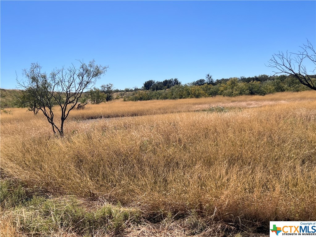 2575 Buck Ridge Dr Property Photo 22