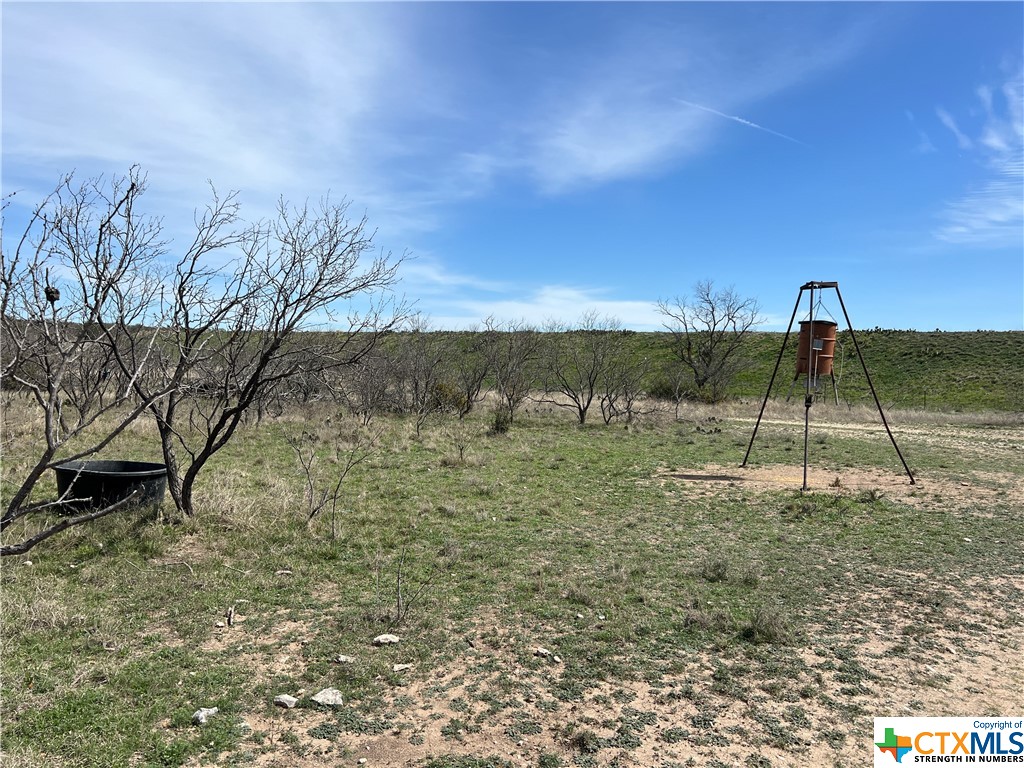 2575 Buck Ridge Dr Property Photo 23