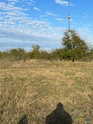 5.11 Acres Justice / Huey Drive Property Photo 3