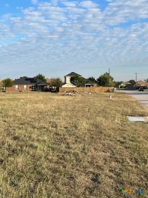 5.11 Acres Justice / Huey Drive Property Photo 4