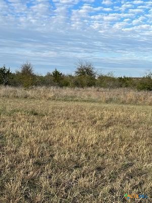 5.11 Acres Justice / Huey Drive Property Photo 6