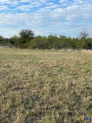 5.11 Acres Justice / Huey Drive Property Photo 7