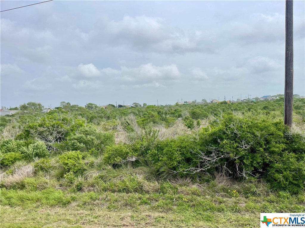 Tbd Fm 2760 Property Photo 4