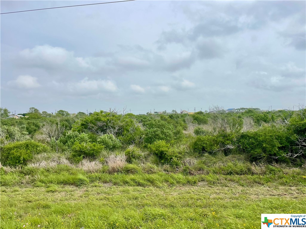 Tbd Fm 2760 Property Photo 6