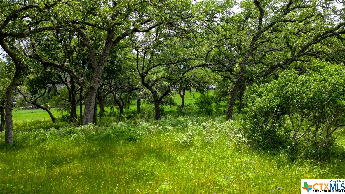 Tbd River Chase Way Property Photo 6