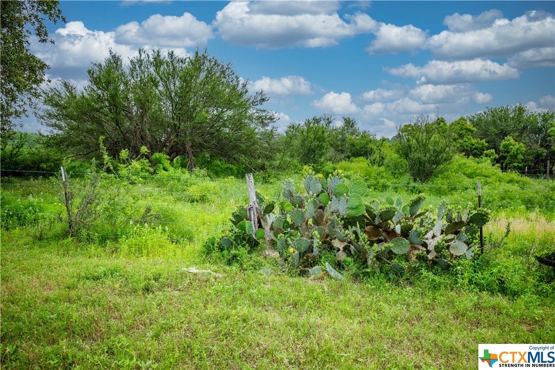 000 La Vernia Road Property Photo 15