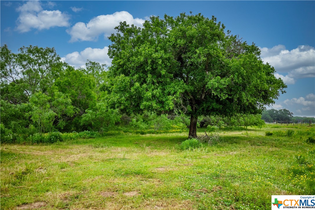 000 La Vernia Road Property Photo 33