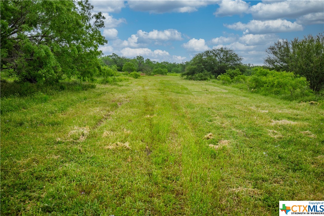 000 La Vernia Road Property Photo 42