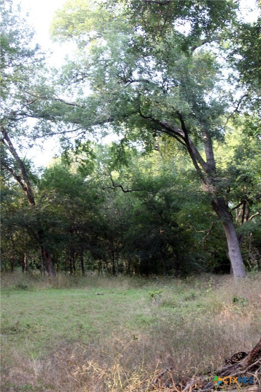 108 Sorrel Street Property Photo 20