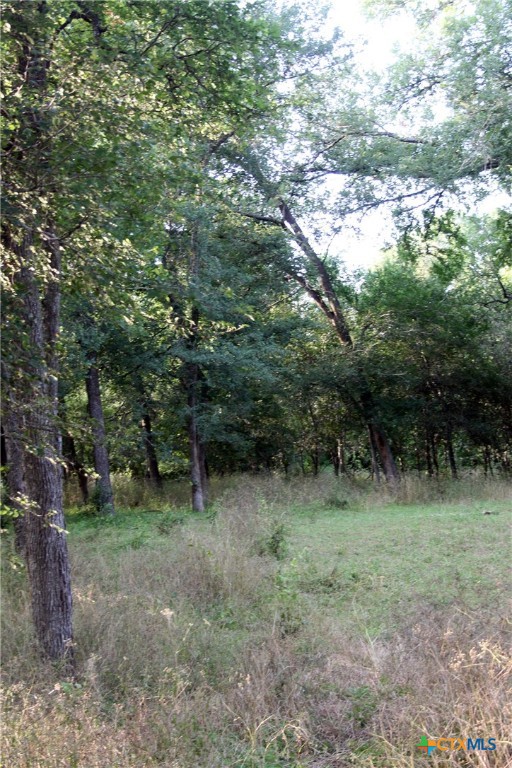 108 Sorrel Street Property Photo 21