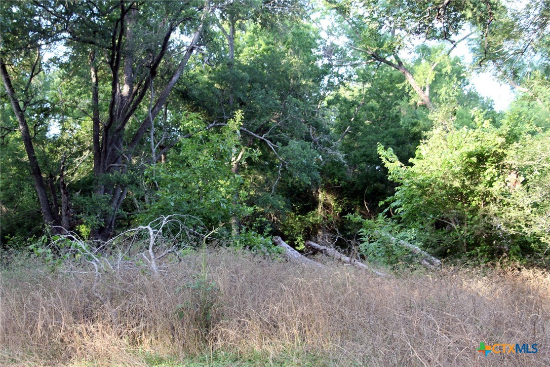 108 Sorrel Street Property Photo 22