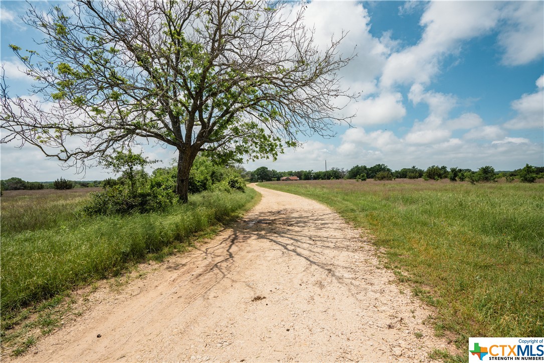 Tbd County Road 213 Property Photo 2
